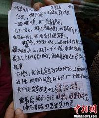 關于弟弟寫日記的范文(關于弟弟寫日記作文650字)