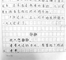珍貴的東西作文六級作文開頭