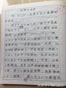 作文,班級,開(kāi)頭,美食節