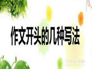 小學生作文指導寫好開頭
