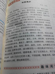 記一次有意義的活動(dòng)作文開(kāi)頭怎么寫(xiě)
