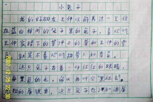 幫助別人的加小動(dòng)物作文開(kāi)頭