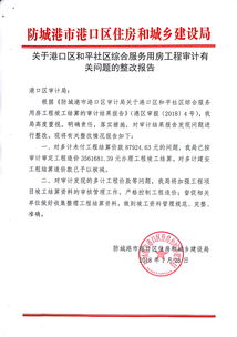 [整改]09工程審計問(wèn)題整改報告(審計整改報告范例)