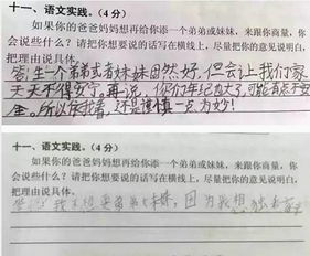 小學關于二胎作文開頭
