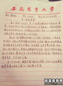 社區服務(wù)活動(dòng)報告格式模板(社區服務(wù)活動(dòng)報告格式模板)