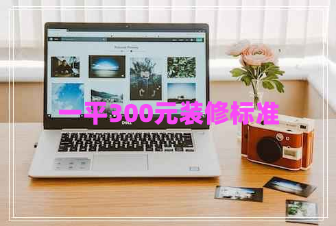一平300元裝修標準
