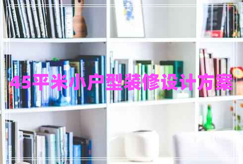 45平米小戶(hù)型裝修設計方案