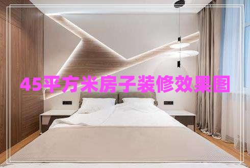 45平方米房子裝修效果圖