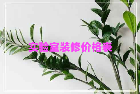 實(shí)驗室裝修價(jià)格表