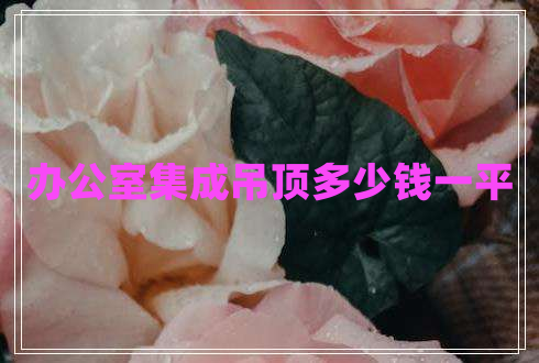 辦公室集成吊頂多少錢(qián)一平