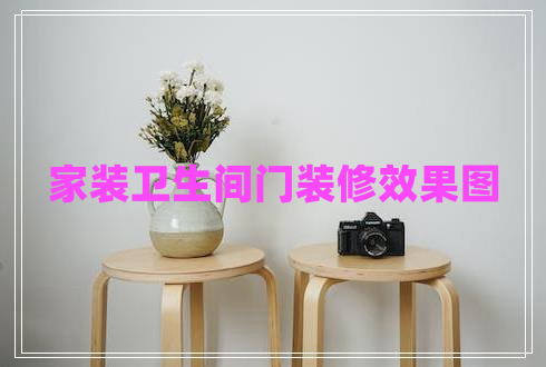 家裝衛生間門(mén)裝修效果圖