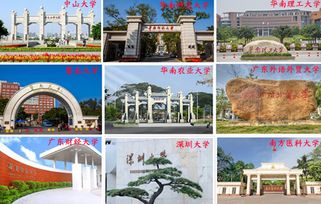 新疆自考本科學(xué)費多少錢(qián)啊