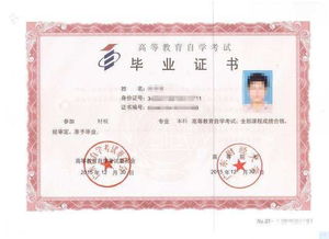 自考本科該怎么辦