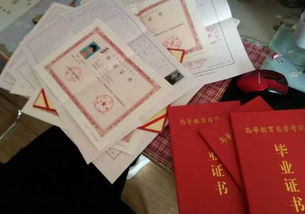 成人自考本科怎么報名相信松果網(wǎng)校好