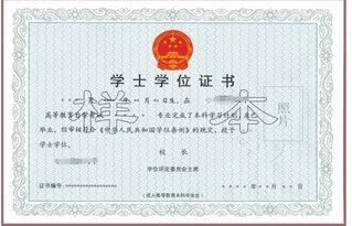應用型自考本科生考