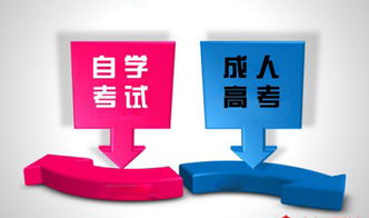 自考南財本科找工作難嗎