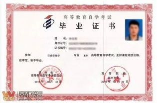 自考本科公務(wù)員條件