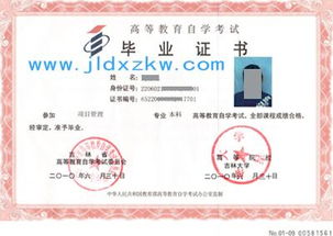 報讀自考可以考本科嗎