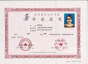 有網(wǎng)絡(luò )本科再自考本科