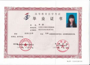 藝術(shù)設計自考本科怎么考