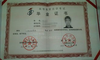 2019自考的本科屬于擇業(yè)期嗎
