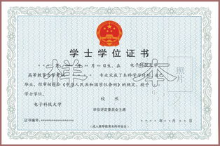 自考本科可查到嗎