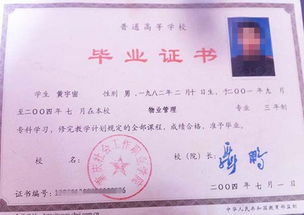 應用本科和自考本科有啥區別
