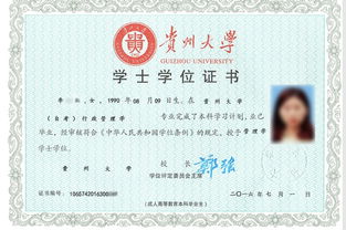 貴州大學(xué)繼續教育自考本科