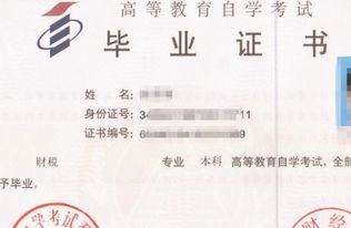 自考本科報名后多久能拿證