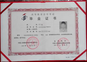 自考同時報本科和專科
