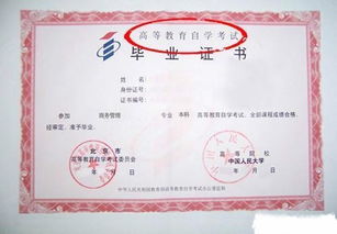 網(wǎng)絡(luò )教育和成人自考本科哪個(gè)好