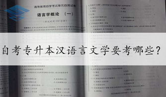 自考漢語(yǔ)言文學(xué)本科要幾