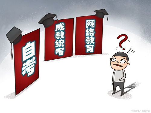全日制大專和自考本科哪個學歷高