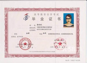 自考本科美術(shù)教育課程