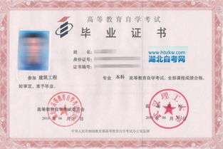 什么時(shí)候可以報自考本科
