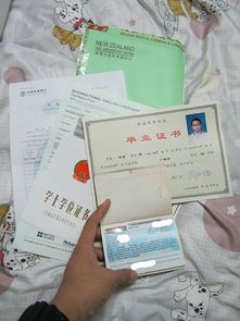 自考本科可否打工度假簽證