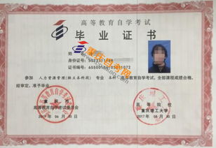 自考本科和自考專(zhuān)科要選一樣嗎
