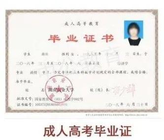 考了函授本科能再自考本科嗎