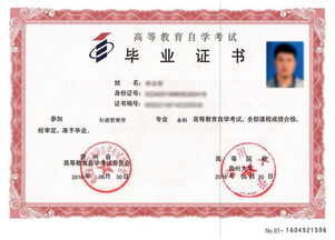 高考畢業(yè)直接上的自考本科