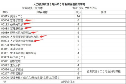 大自考人力資源本科英語(yǔ)可以不考嗎