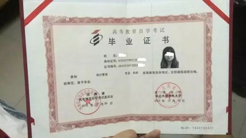 自考本科參加新高考