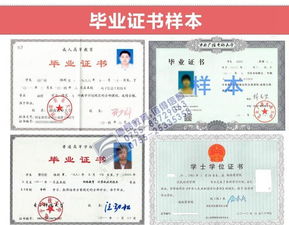 深圳自考本科哪些機構好