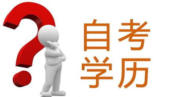 自考本科文憑屬于第一學(xué)歷嗎
