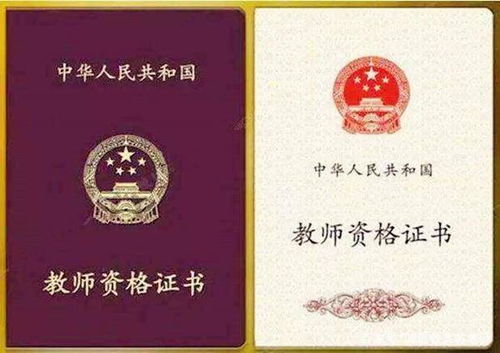 自考本科怎么考編制
