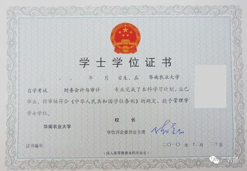 南寧自考本科輔導班