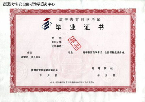 自考本科現在有加分項嗎