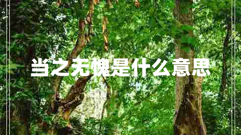 當之無(wú)愧是什么意思