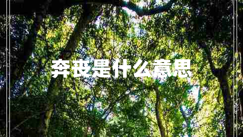 奔喪是什么意思