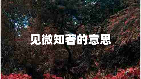 見(jiàn)微知著(zhù)的意思