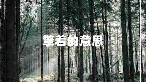擎著(zhù)的意思